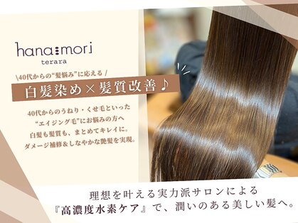 ハナモリ テララ(hanamori terara)の写真