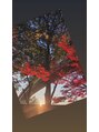 パーフェクトビューティーイチリュウエスエス(perfect beauty ichiryu SS) 朝散歩で朝陽や季節の自然な写真を撮るのが好きです。