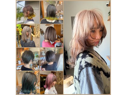 パルムヘアー(Palm hair)の写真