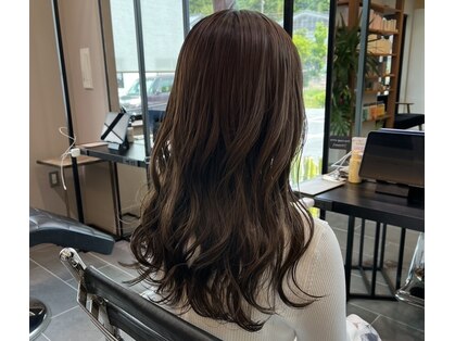 アラタ(ARATA)の写真