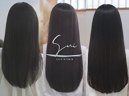 スイ(sui)の写真