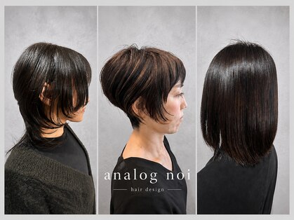 アナログノイ(analog noi)の写真