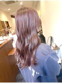 ラベンダー highlight