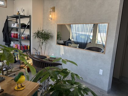 ピッコロ(Piccolo)の写真