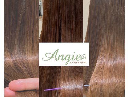 ロハスヘア アンジェ(LOHAS hair ANGIE)の写真
