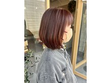 アイビー(ivy)