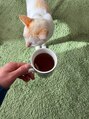 シプレ(cipre) 猫と暮らしてます