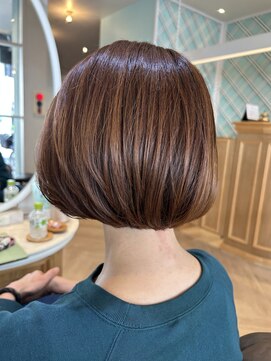 アンフィ 矢向(Anphi) 11-33 ボブ