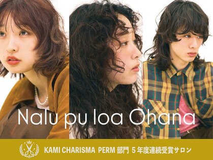 ナループロアオハナ(Nalu pu loa ohana)の写真