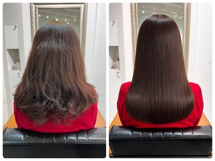 パーフェクトビューティーイチリュウエスエス(perfect beauty ichiryu SS)の写真