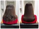 パーフェクトビューティーイチリュウエスエス(perfect beauty ichiryu SS)の写真