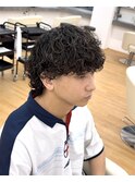 波巻きプードルウルフ スパイラル ウェーブ ツーブロック