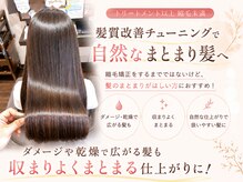 ヘアケアサロン シェーン(hair care salon Schon)の雰囲気(縮毛をするほどでもない方は【髪質改善チューニング】がおすすめ)