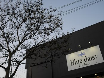 Blue daisy For hair【ブルーデイジーフォーヘアー】