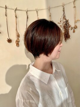 シャンプーボーイ セントラル 博多(SHAMPOO BOY central) 綺麗めショート