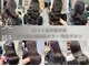 ニフティー(Nifty)の写真