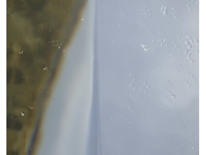 ハク(haku)の写真