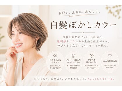 モリワキ 藤が尾店の写真