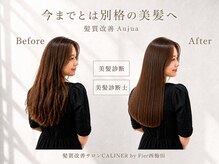カリネバイフィエル(CALINER by Fier)