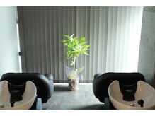 ジュエルボックス 堺大小路店(jewelbox)の雰囲気（ヘッドスパも大好評◎(※ヘッドスパ予約に関しては電話対応のみ)）