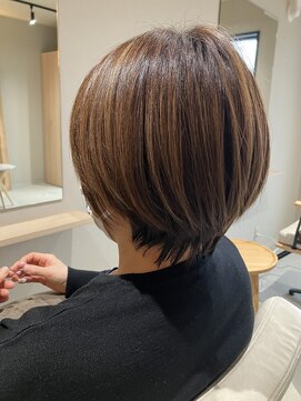 本と南風 guest design