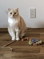 ニーノ(Nino) わが家のネコ様