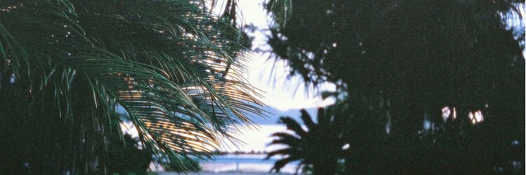 ヴァーグバイトリ(vague by tori)のサロンヘッダー