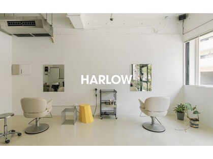 ハーロウ(HARLOW)の写真