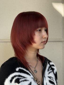 ノブレス(NOBLESSE) ボルドーウルフ