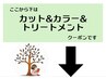 ここから下は【カット&カラー&トリートメント】のクーポンです。