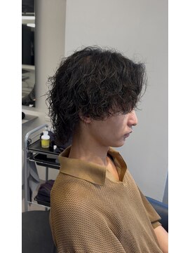 ステラ(STELLA) サーフカール