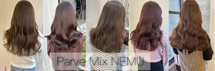 パーヴミックスネム(ParveMix NEMU)のサロンヘッダー