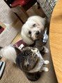 あるじゃんすー 横浜店 愛犬と愛猫に毎日癒されてます♪