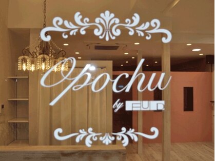 オポチュ(Opochu by FUD)の写真