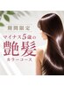 【期間限定】人気No1夏、紫外線に負けない髪を！-5歳の艶髪カラーコース