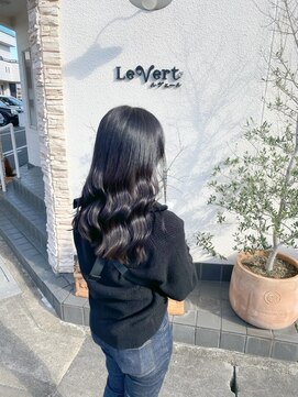 ルヴェール(Le Vert) 艶感暗髪ネイビーグレージュロング