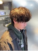 マッシュウルフ