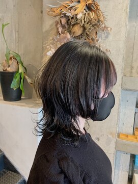 ココモ(KOKOMO) ミディアムネオウルフ♪