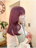 ピンクラベンダー