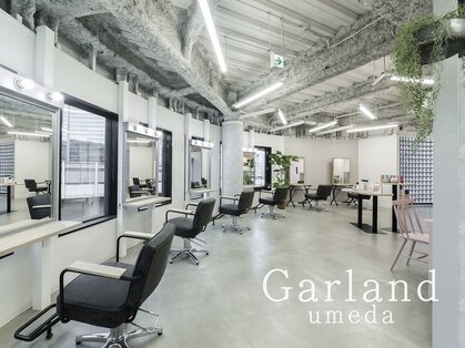 ガーランドウメダ(Garland umeda)の写真
