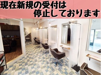 ホリデイズ(Holidays)の写真