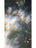 【学割U24】【竹田指名限定】カット+美容液カラー