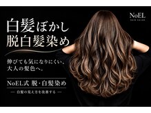 ノエル(NoEL)の雰囲気（脱・白髪染めハイライトで、伸びてきた白髪も自然になじむ髪色へ）