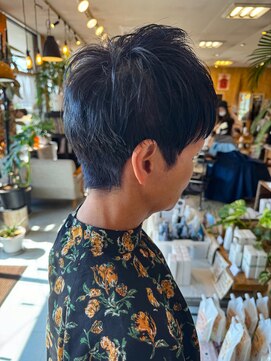 ルーミス バズヘアー(Loomis Buzzhair) マダムベリーショート