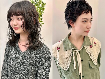 ソーンズ ヨイク(thorns YOIKU)の写真