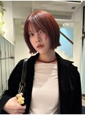 ボブ