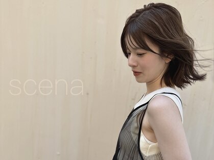 シーナ(scena)の写真