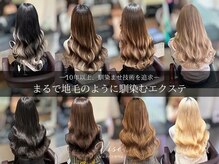 ビセ(VISE)