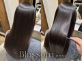 ブロッサム(Blossom)