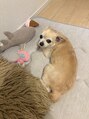 アパートメント 松江学園店(APARTMENT) 愛犬のミラちゃん♪犬好きな方お話ししましょ!!!